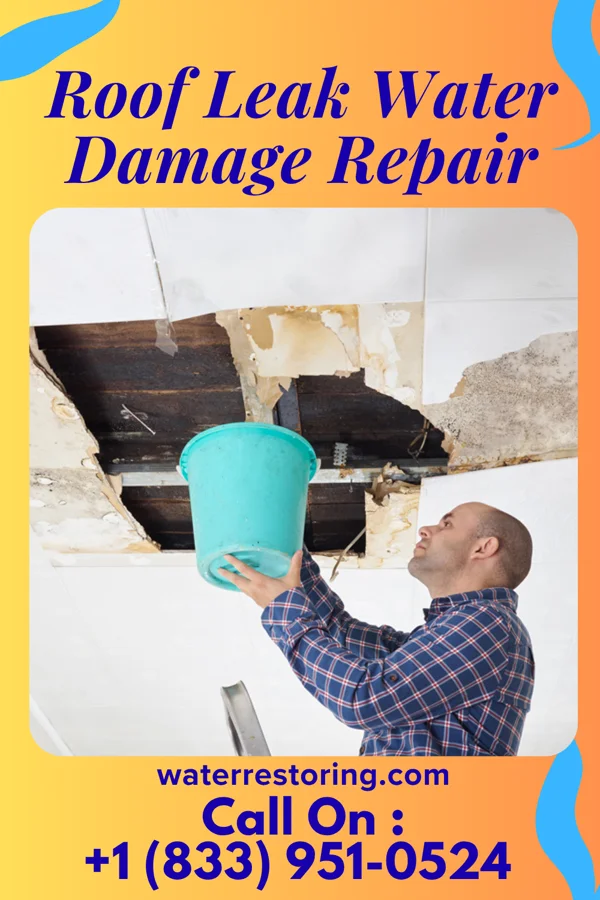Roof Leak Water Damage Repair in Uvalde Estates, TX